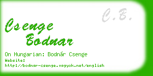 csenge bodnar business card