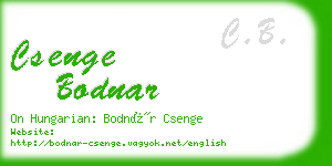 csenge bodnar business card